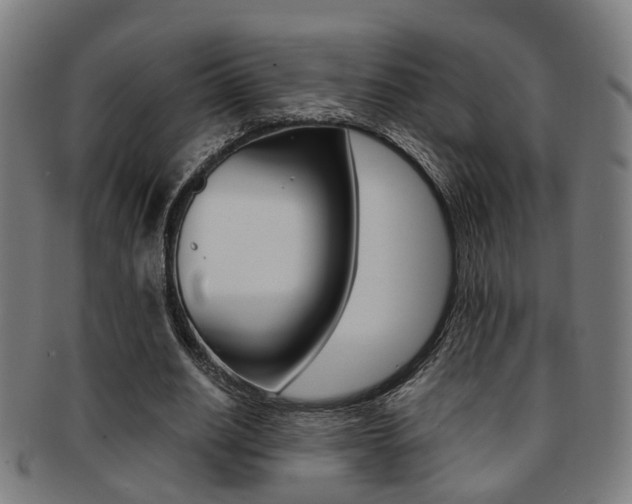 X0000091900630200709051104