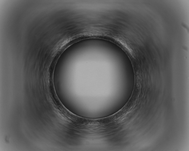 X0000091900631200709051104