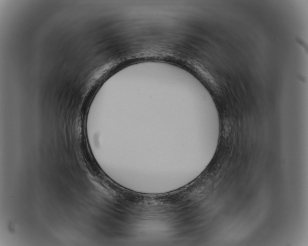 X0000091900632200709051104