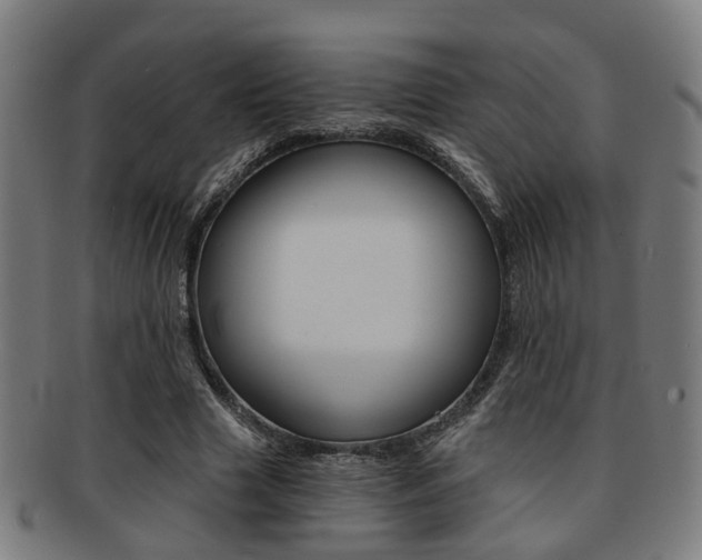 X0000091900633200709051104