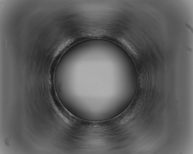X0000091900634200709051104