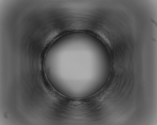 X0000091900635200709051104