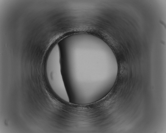 X0000091900636200709051104