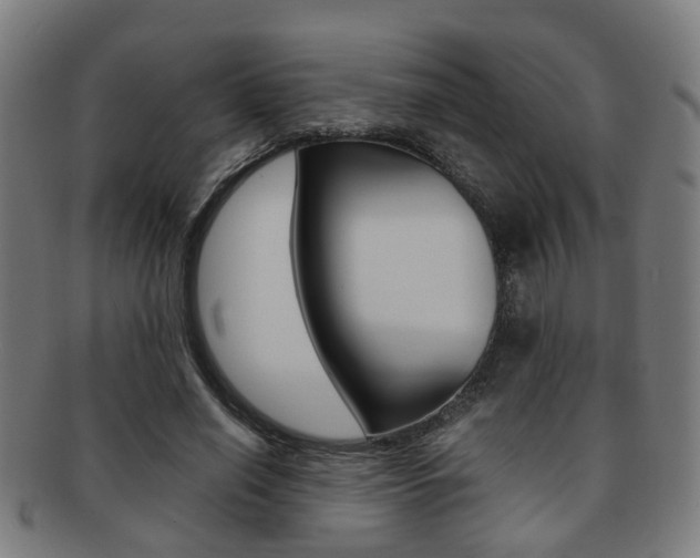X0000091900638200709051104