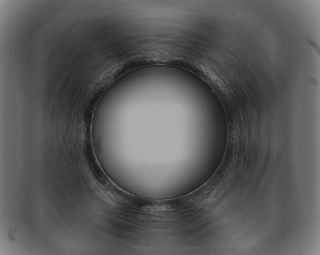 X0000091900639200709051104