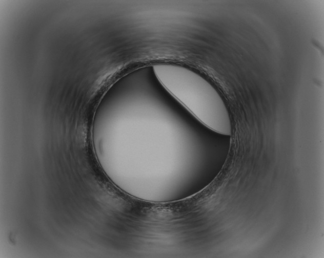 X0000091900640200709051104