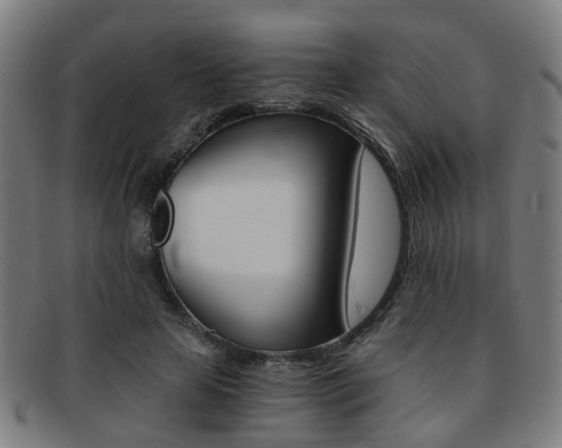 X0000091900641200709051104
