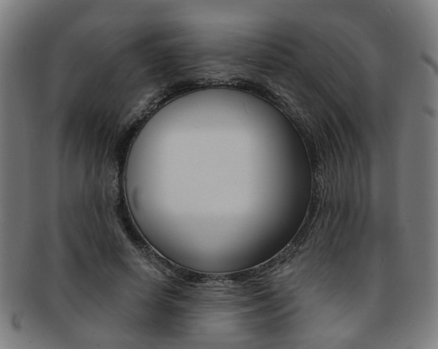X0000091900642200709051104