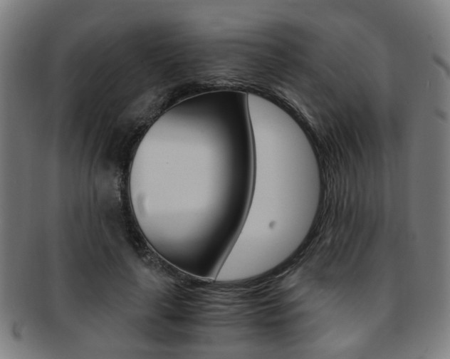 X0000091900643200709051105