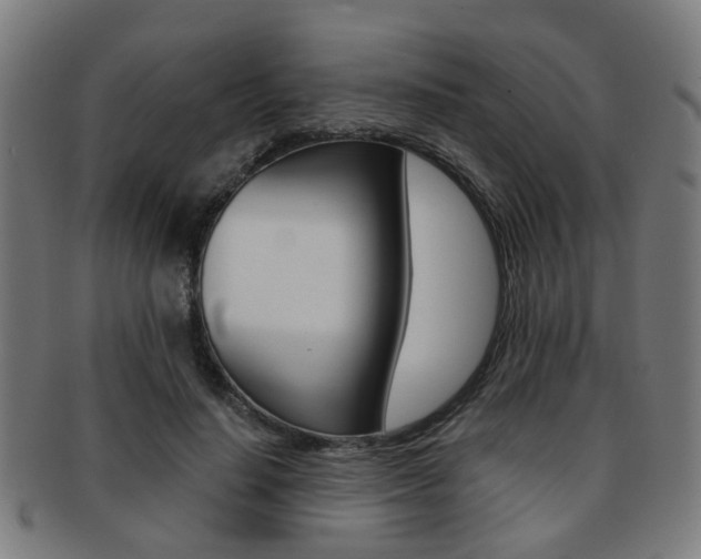 X0000091900644200709051105
