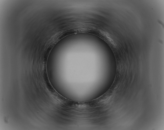 X0000091900645200709051105