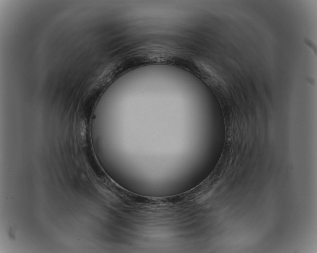 X0000091900646200709051105