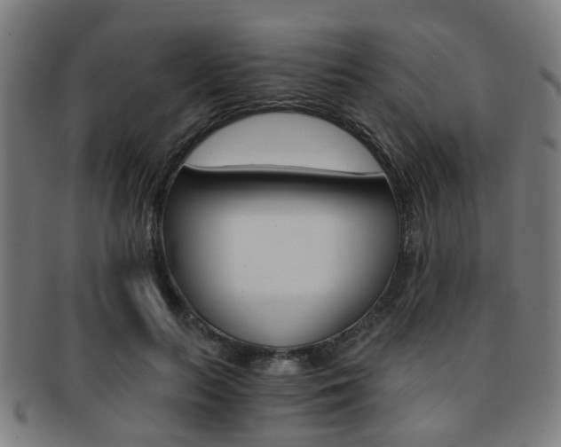 X0000091900647200709051105