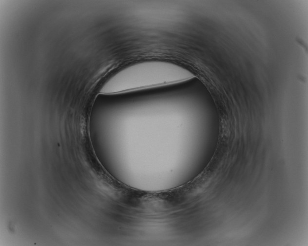 X0000091900648200709051105