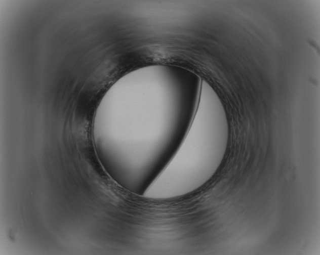 X0000091900650200709051105