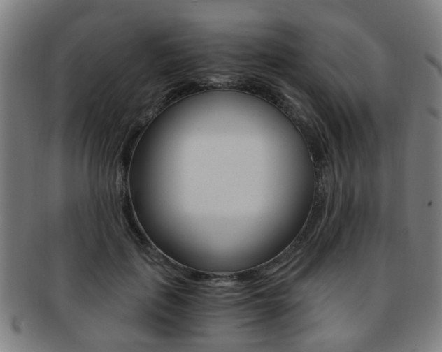 X0000091900651200709051105