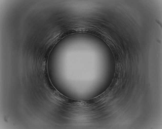 X0000091900652200709051105