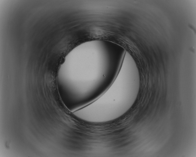 X0000091900653200709051105