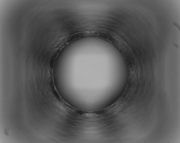 X0000091900654200709051105