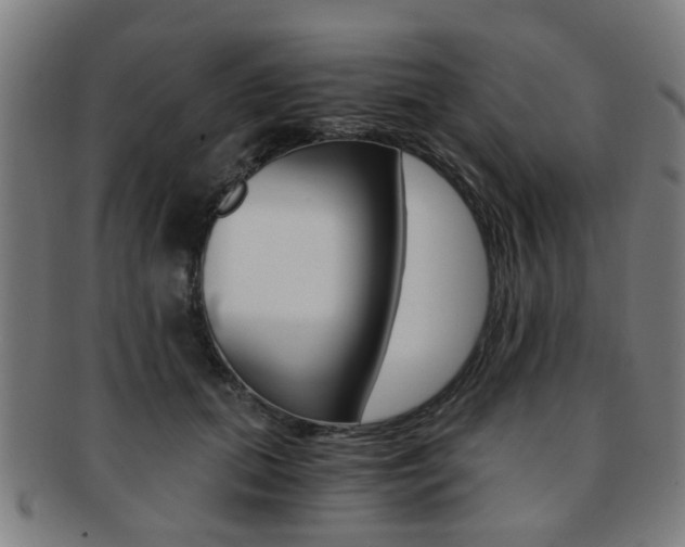 X0000091900655200709051105