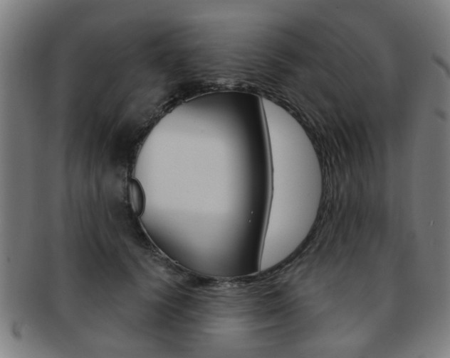 X0000091900656200709051105