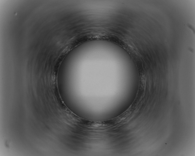 X0000091900657200709051105