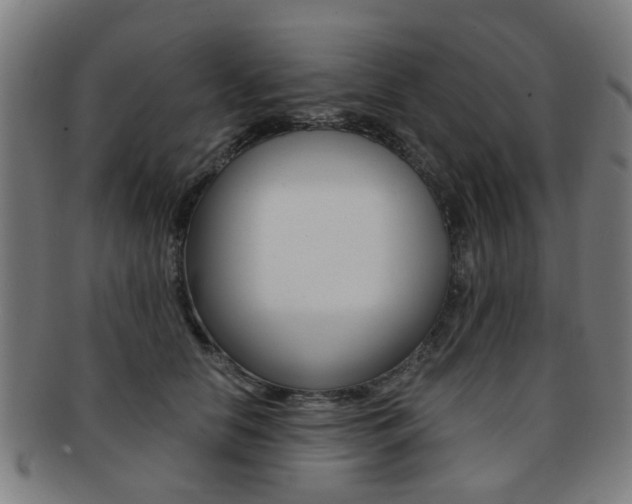 X0000091900658200709051105