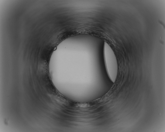 X0000091900659200709051105