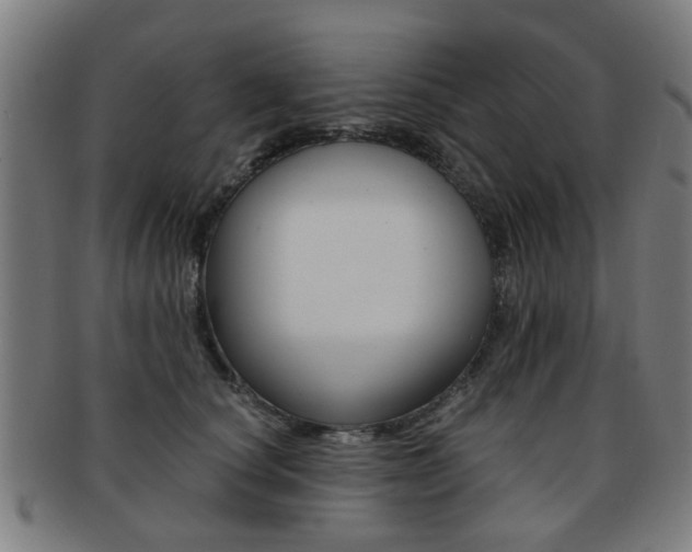 X0000091900660200709051105