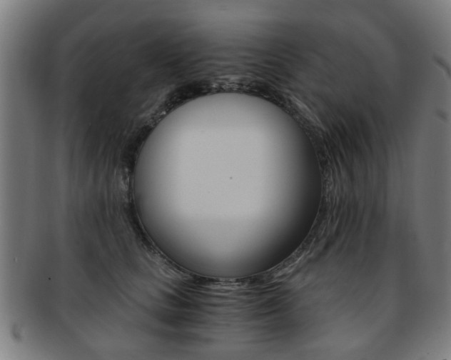 X0000091900661200709051105