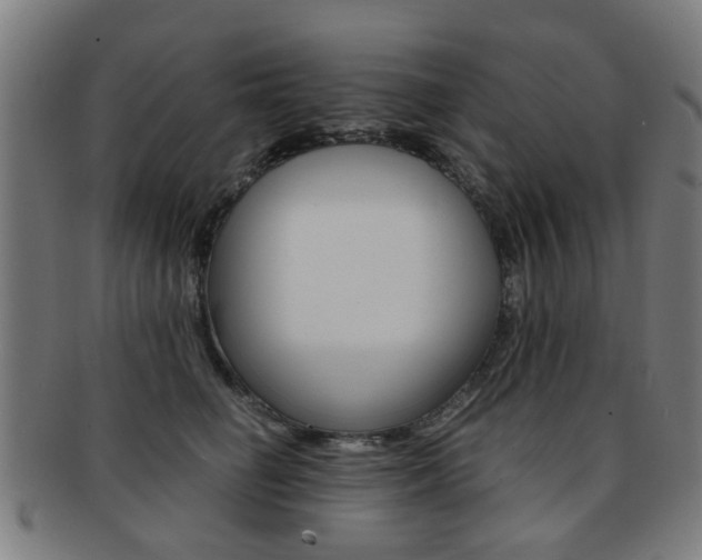X0000091900662200709051105