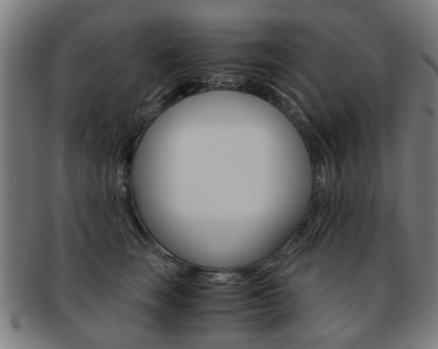 X0000091900663200709051105