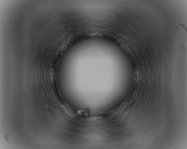 X0000091900664200709051105