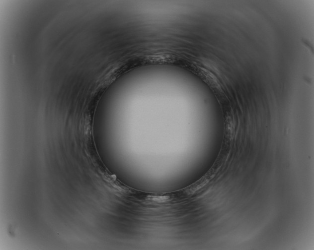 X0000091900665200709051105
