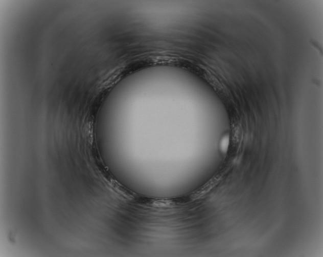 X0000091900666200709051105
