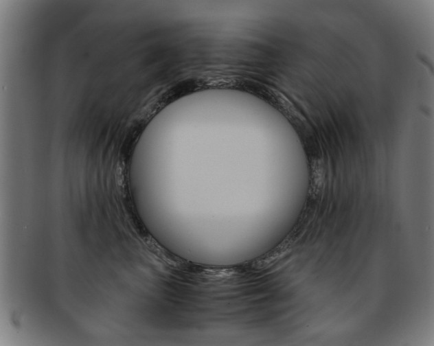 X0000091900667200709051105
