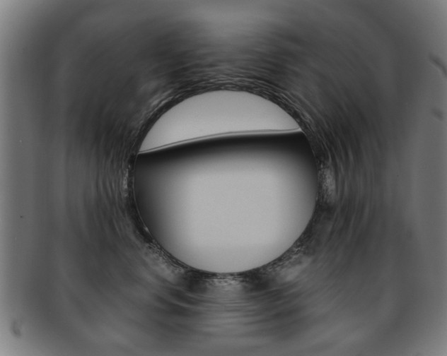 X0000091900668200709051105