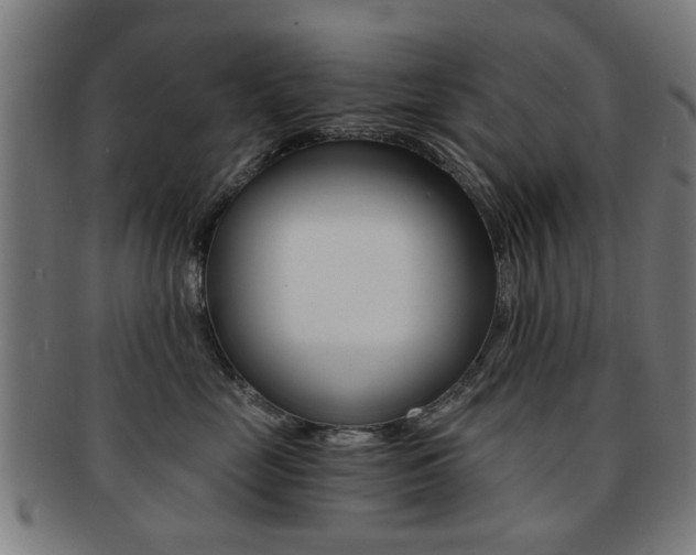 X0000091900669200709051105