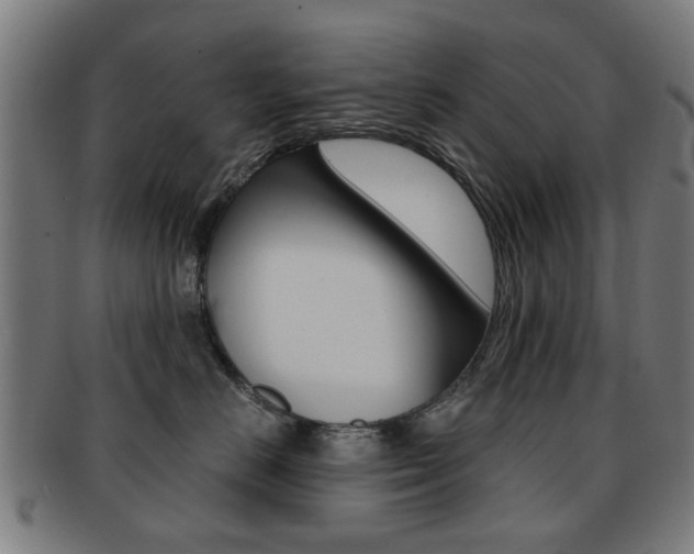 X0000091900670200709051105