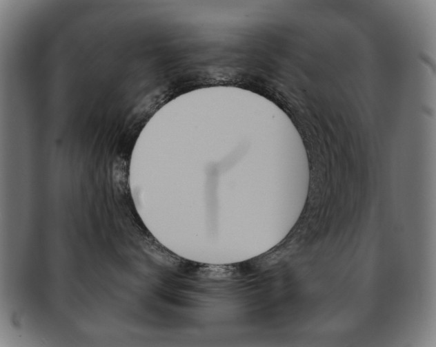 X0000091900672200709051105