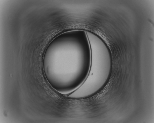 X0000091900673200709051104