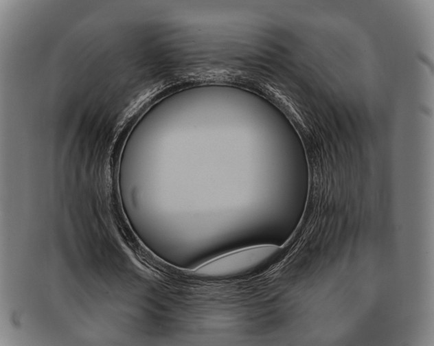 X0000091900674200709051104