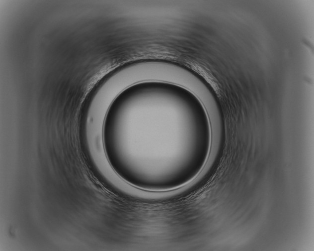 X0000091900675200709051104