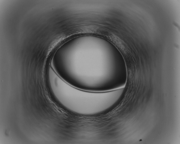 X0000091900676200709051104