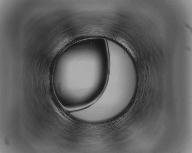 X0000091900677200709051104