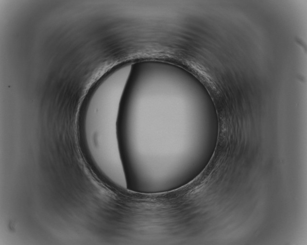 X0000091900678200709051104