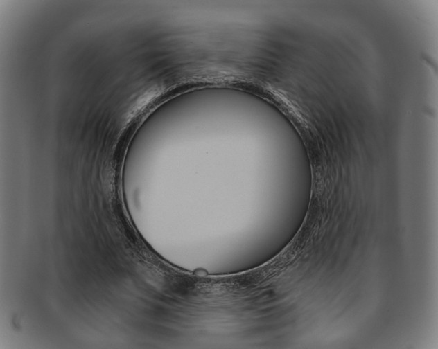 X0000091900679200709051104