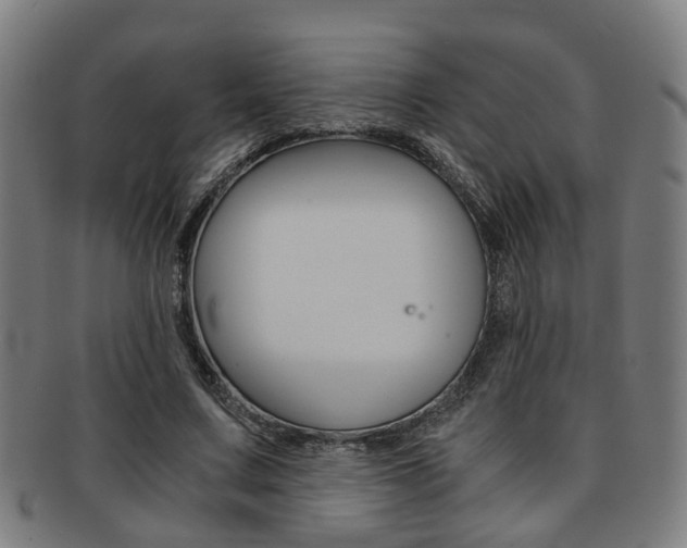 X0000091900683200709051104