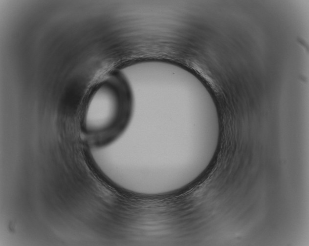X0000091900685200709051104