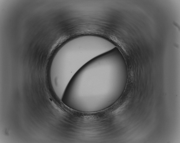 X0000091900686200709051104